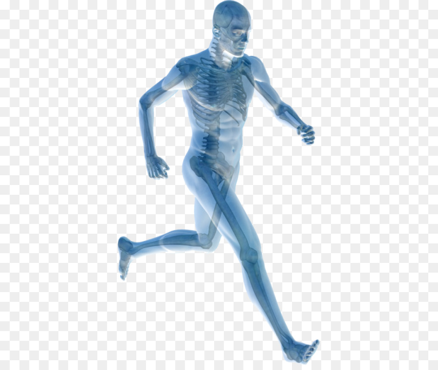 Human body Joint pain Pain management Physical therapy - health png download - 415*750 - Free Transparent Human Body png Download.