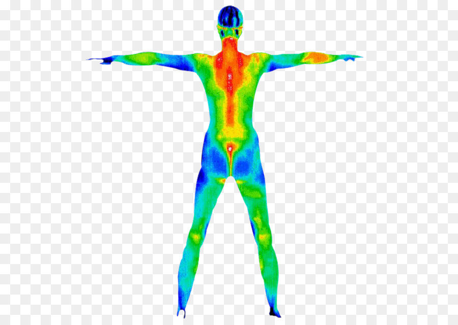 Thermography Sunshine Healing Arts - Acupuncture & Wellness Center Human body Medicine Medical diagnosis - others png download - 625*640 - Free Transparent Thermography png Download.