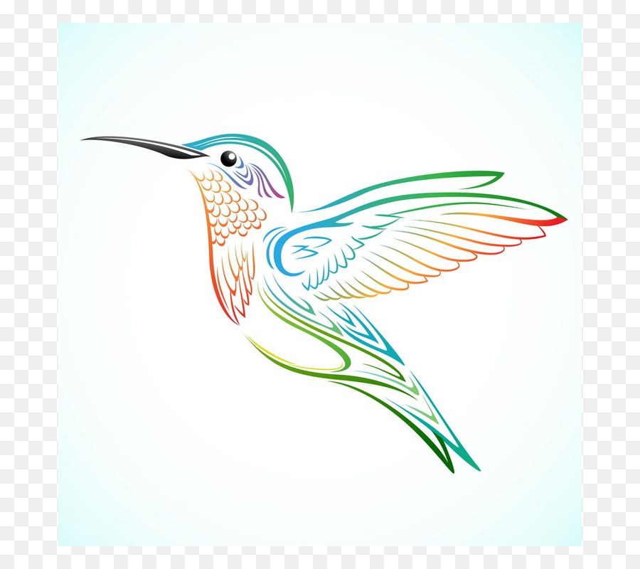 Hummingbird Tattoo Drawing - Bird png download - 800*800 - Free Transparent Hummingbird png Download.