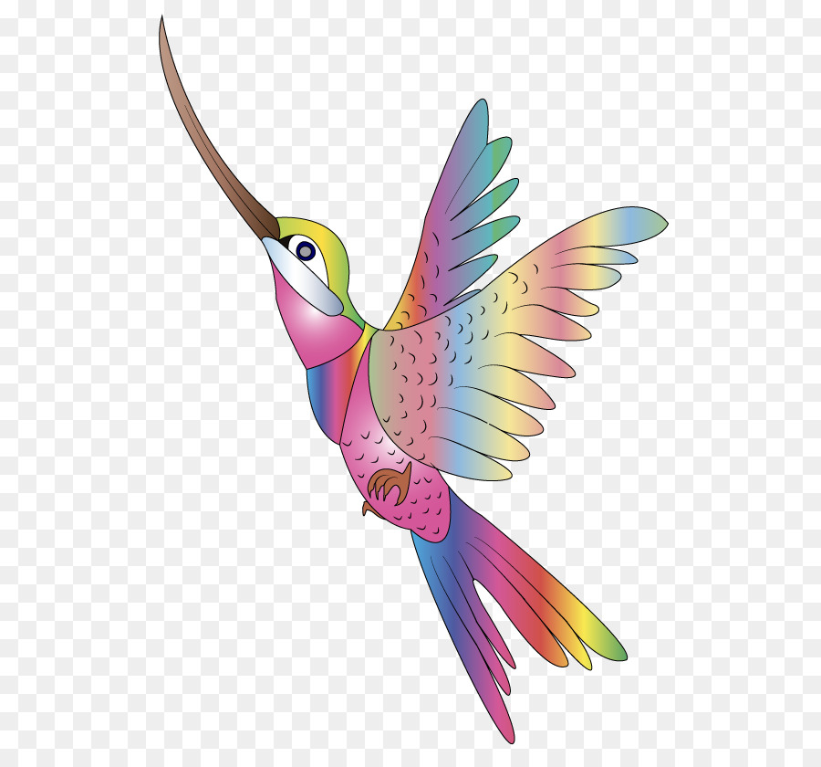 Hummingbird Clip art Openclipart Vector graphics Image - Bird png download - 567*822 - Free Transparent Hummingbird png Download.