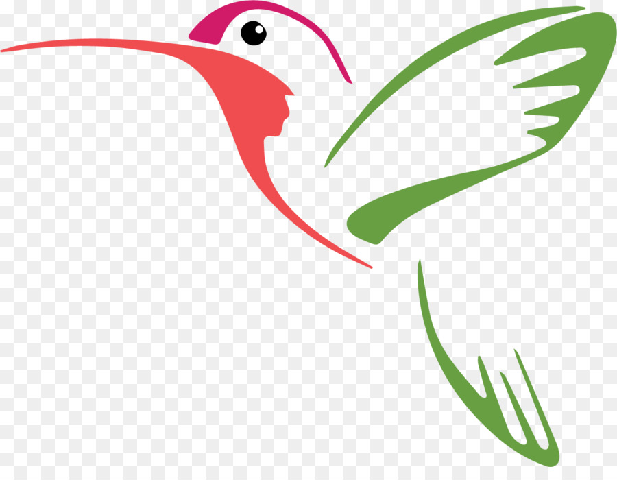 Hummingbird Vector graphics Drawing Illustration - bird png download - 1412*1069 - Free Transparent Hummingbird png Download.