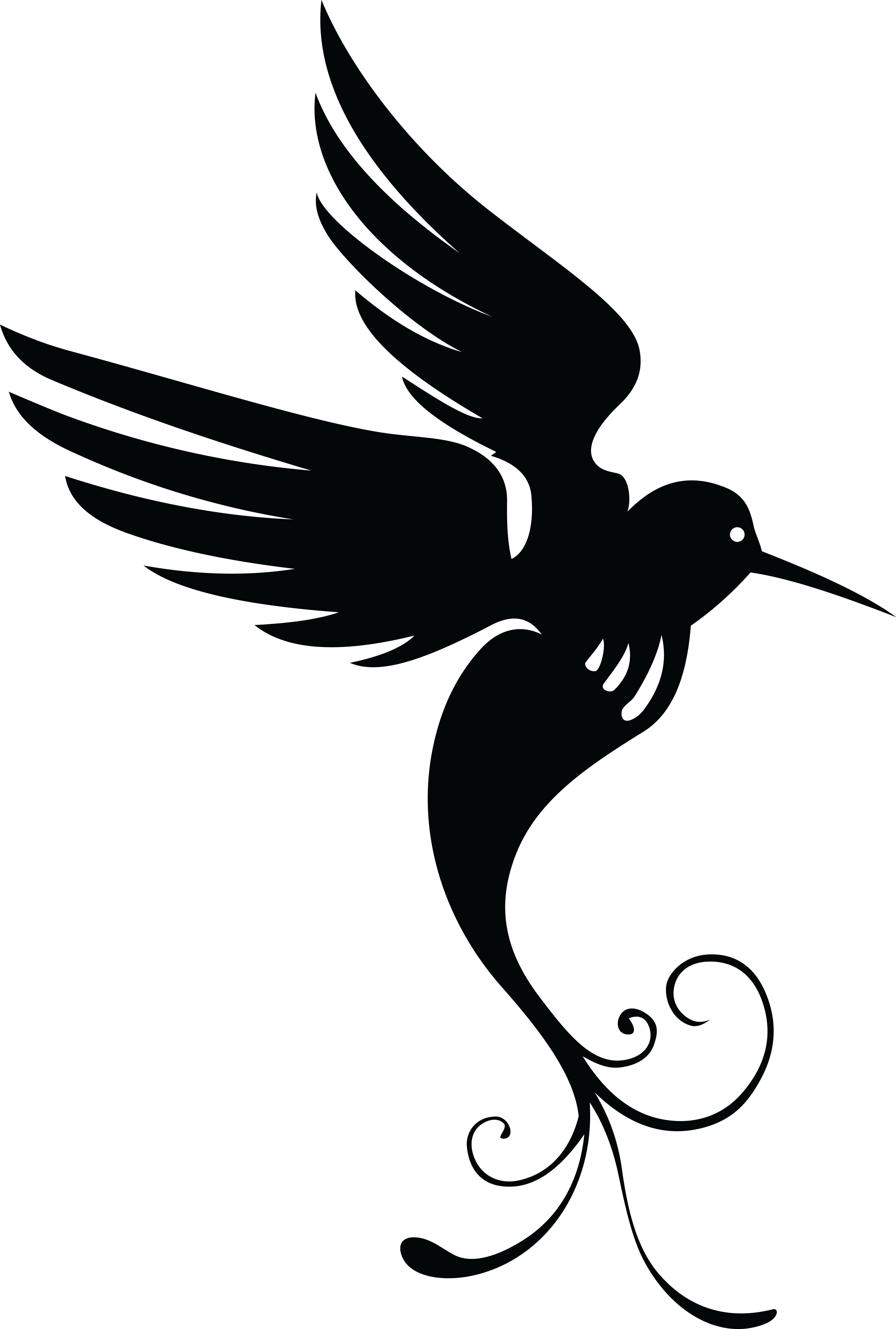 Hummingbird Silhouette Drawing - Hummingbird png download - 4000*5930