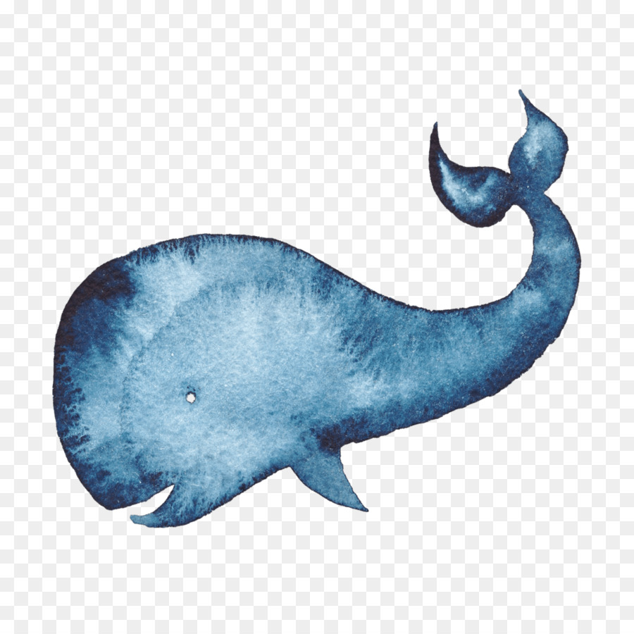 Humpback whale Watercolor painting Blue whale - whale png download - 1080*1080 - Free Transparent Whale png Download.