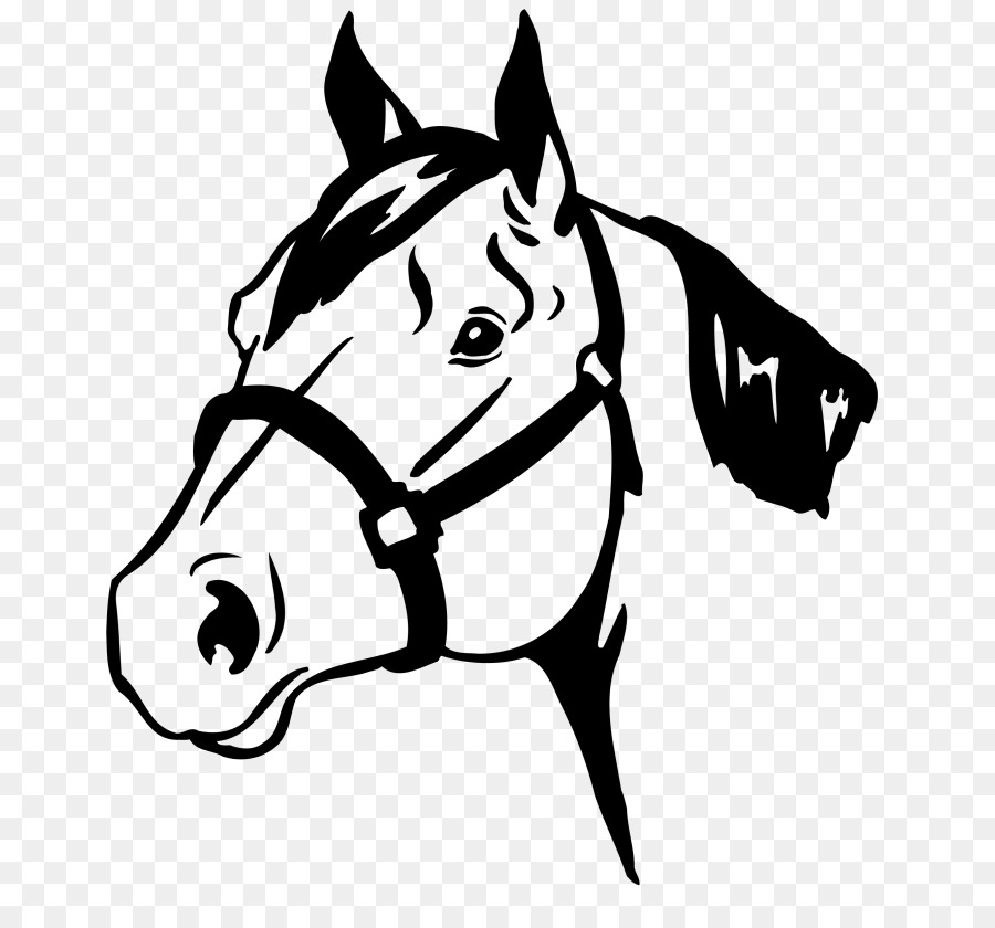 Horse show Horse Safety Equestrian 4-H - horse png download - 768*821 - Free Transparent Horse png Download.