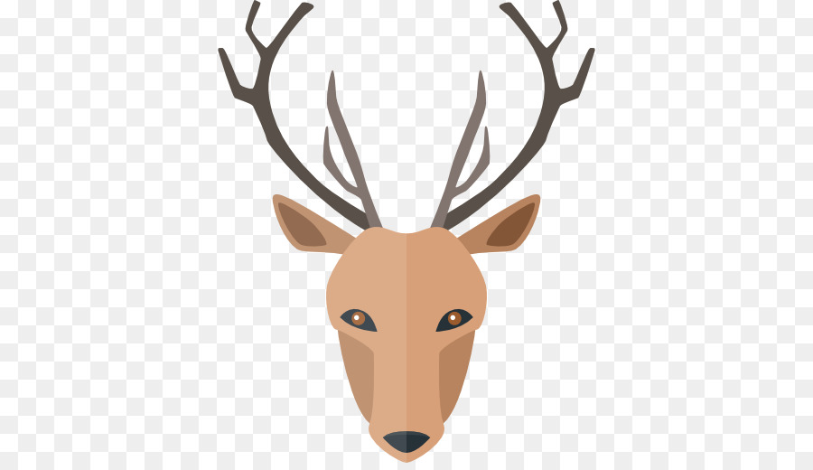 White-tailed deer Deer hunting - deer vector png download - 512*512 - Free Transparent Deer png Download.