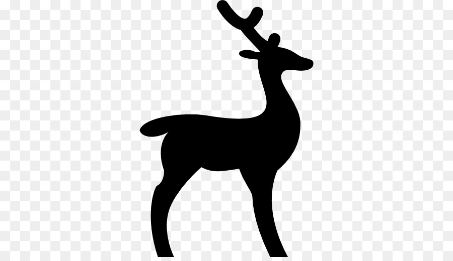 White-tailed deer Reindeer Deer hunting - animal silhouettes png download - 512*512 - Free Transparent Deer png Download.