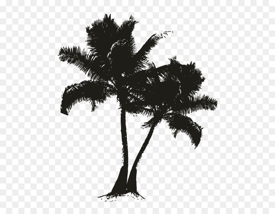 Asian palmyra palm Date palm Black Silhouette White - Oakleaf Hydrangea png download - 696*696 - Free Transparent Asian Palmyra Palm png Download.