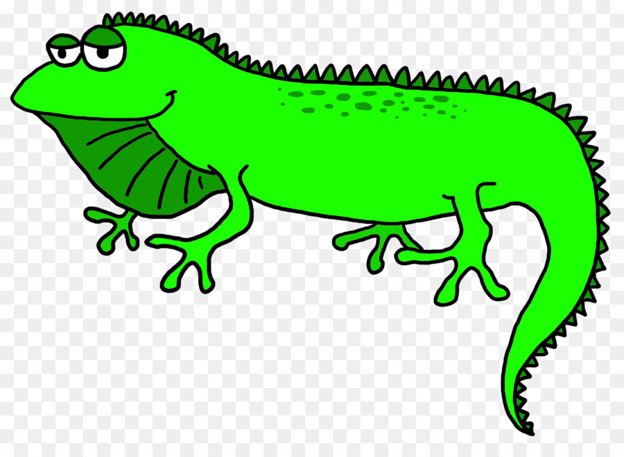 Lizard Green iguana Clip art - Iguana Cliparts png download - 1600*1148 - Free Transparent Lizard png Download.