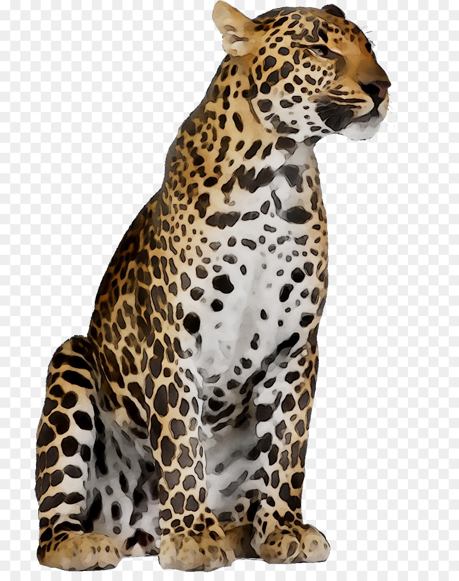 Jaguar Cheetah Felidae Stock photography Tiger -  png download - 768*1124 - Free Transparent Jaguar png Download.