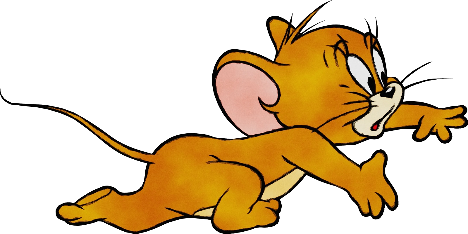 tom-cat-jerry-mouse-tom-and-jerry-cartoon-network-tom-and-jerry-png