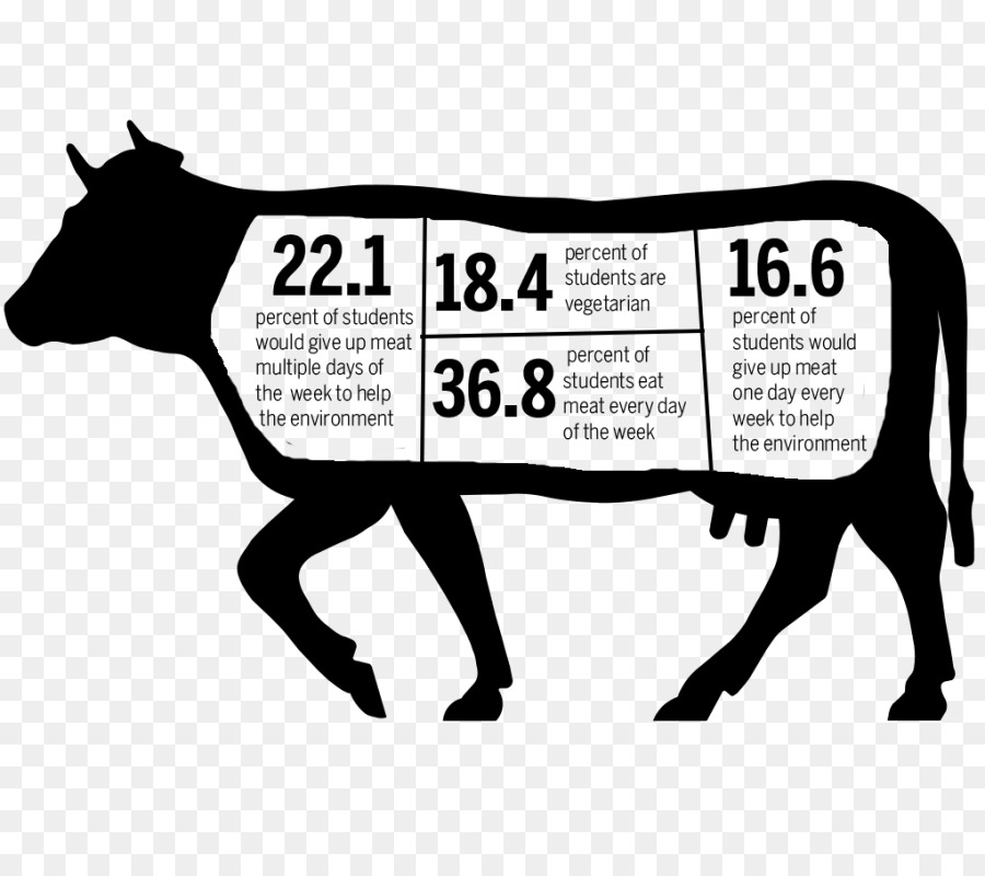 Beef cattle Jersey cattle Angus cattle Holstein Friesian cattle Dairy cattle - others png download - 900*800 - Free Transparent Beef Cattle png Download.
