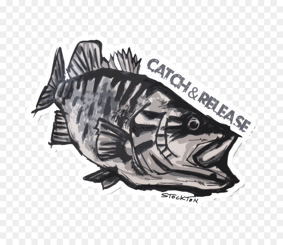 Decal Bass fishing Sticker Smallmouth bass - fishing png download - 768*768 - Free Transparent Decal png Download.