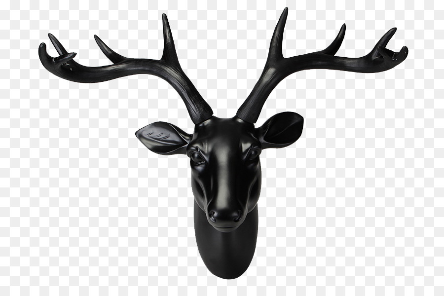 Deer Elk - Wall deer png download - 800*594 - Free Transparent Deer png Download.
