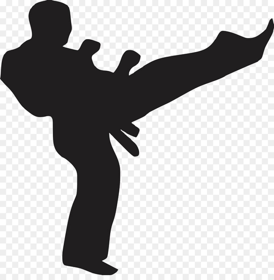 Chinese martial arts Karate Kick Sport - bullying png download - 1911*1920 - Free Transparent Martial Arts png Download.