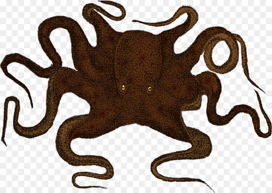 Kraken Clip art Wall decal Sticker Octopus - Giant Pacific Octopus Size Scale png download - 951*676 - Free Transparent Kraken png Download.