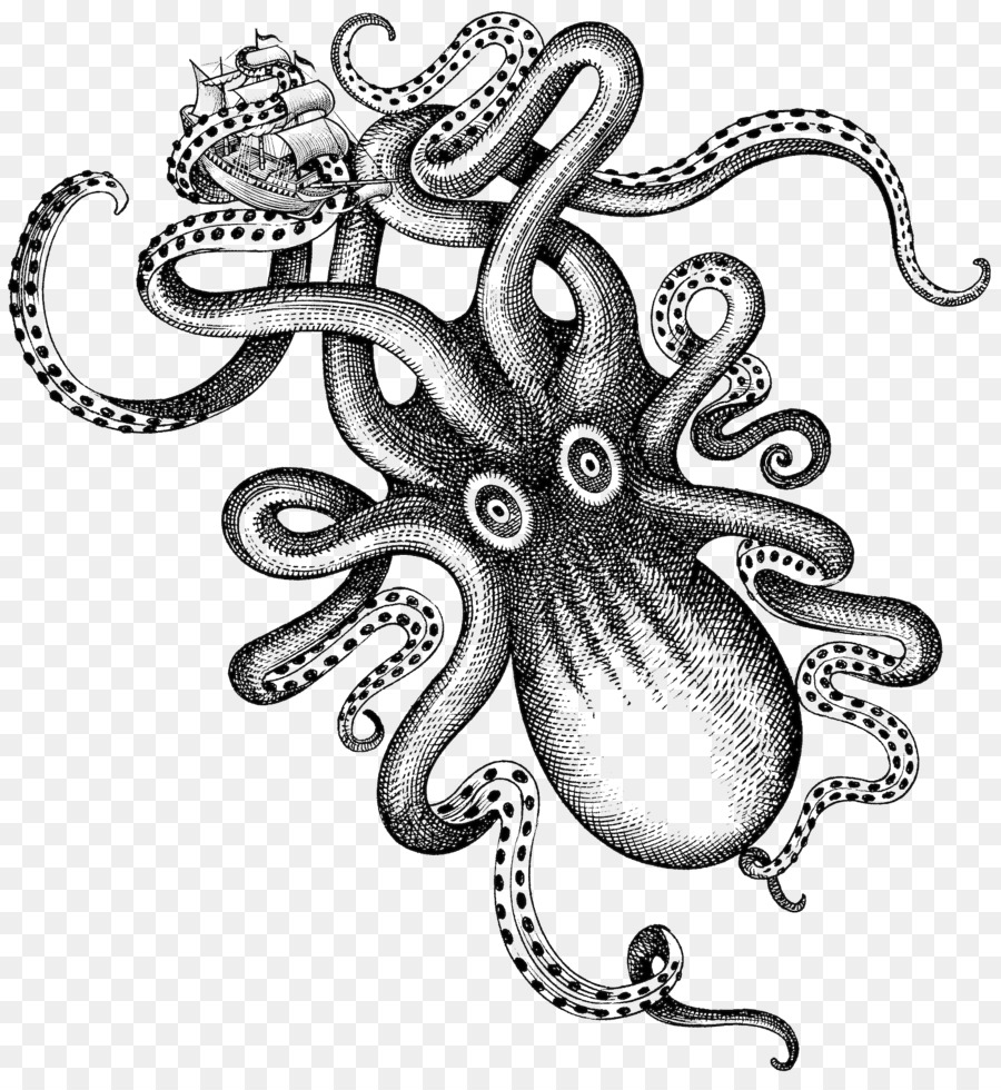 Kraken Rum Liquor Octopus - Watercolor octopus png download - 1780*1921 - Free Transparent Kraken Rum png Download.