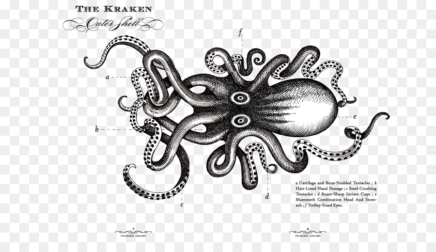 Kraken Rum Sea monster Octopus - kraken rum logo png download - 720*504 - Free Transparent Kraken Rum png Download.
