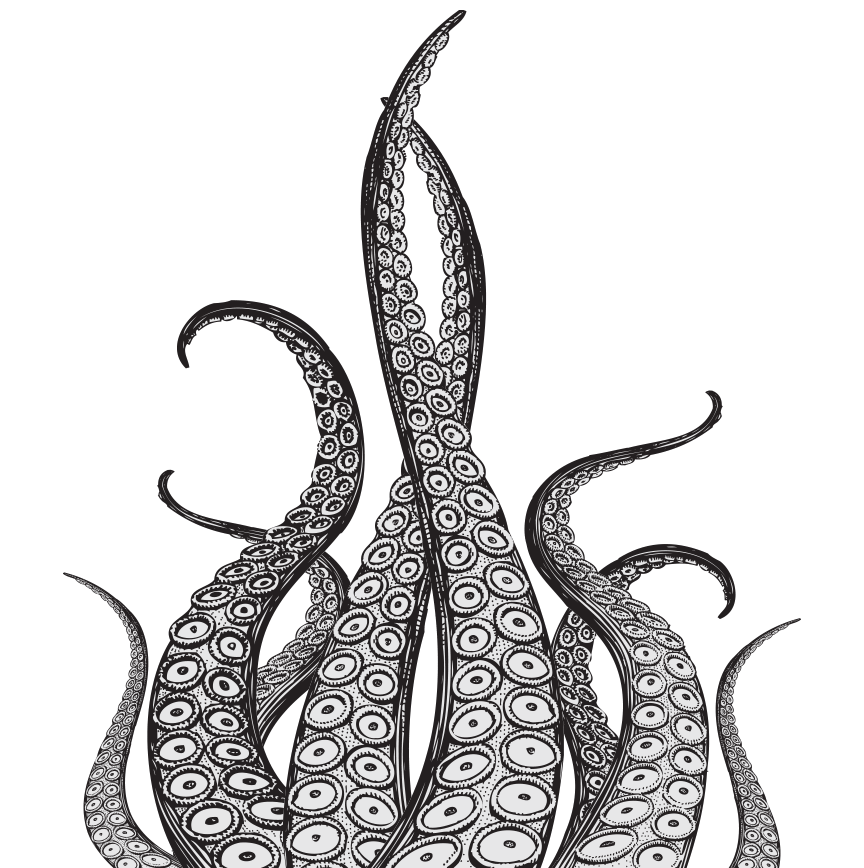 Kraken Octopus Squid Drawing Tentacle - octopus-cartoon ...