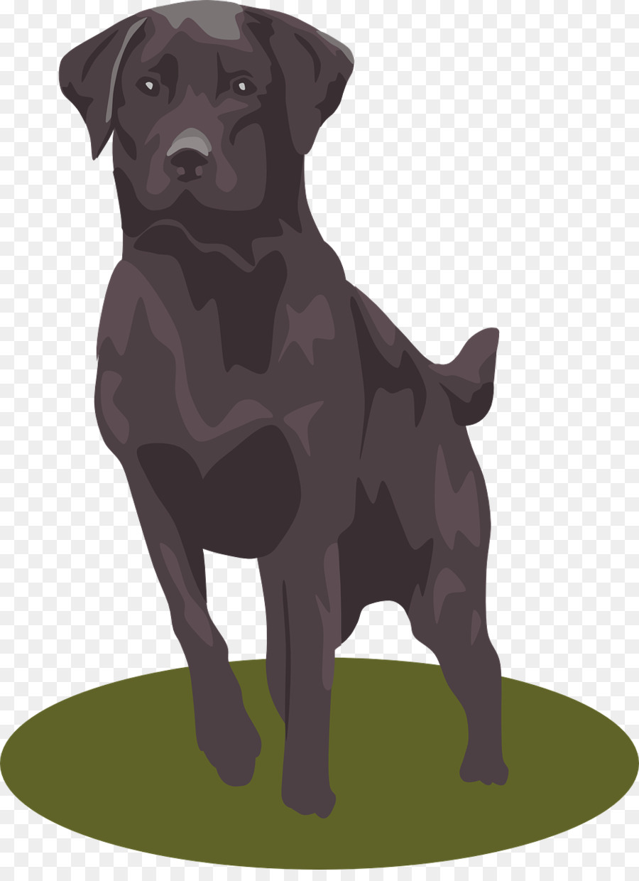 Labrador Retriever Puppy Clip art - Black dog png download - 941*1280 - Free Transparent Labrador Retriever png Download.