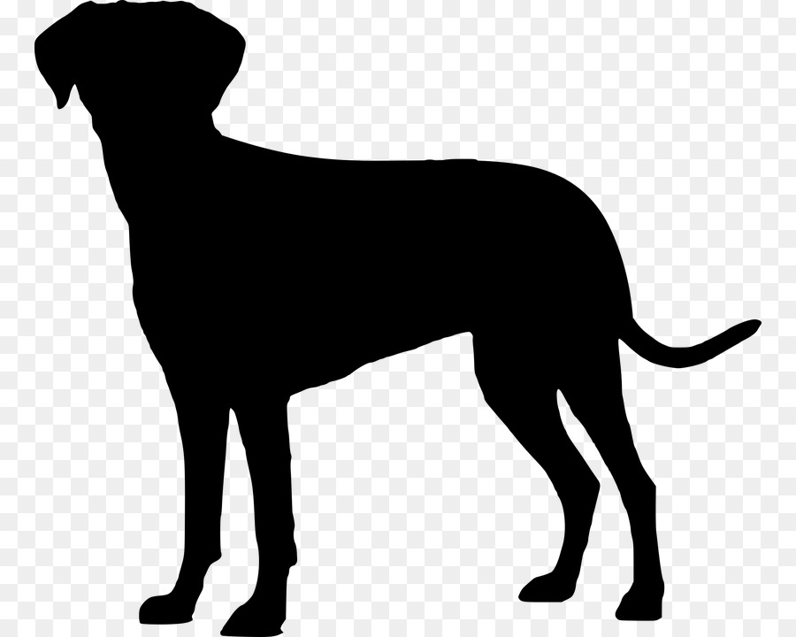 Labrador Retriever Puppy Image Clip art Dog breed - coonhound silhouette png dog png download - 822*720 - Free Transparent Labrador Retriever png Download.