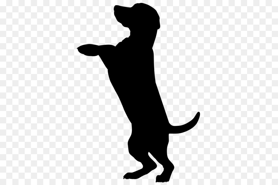 Dobermann Boxer Labrador Retriever Scotch Collie Clip art - Silhouette png download - 417*600 - Free Transparent Dobermann png Download.