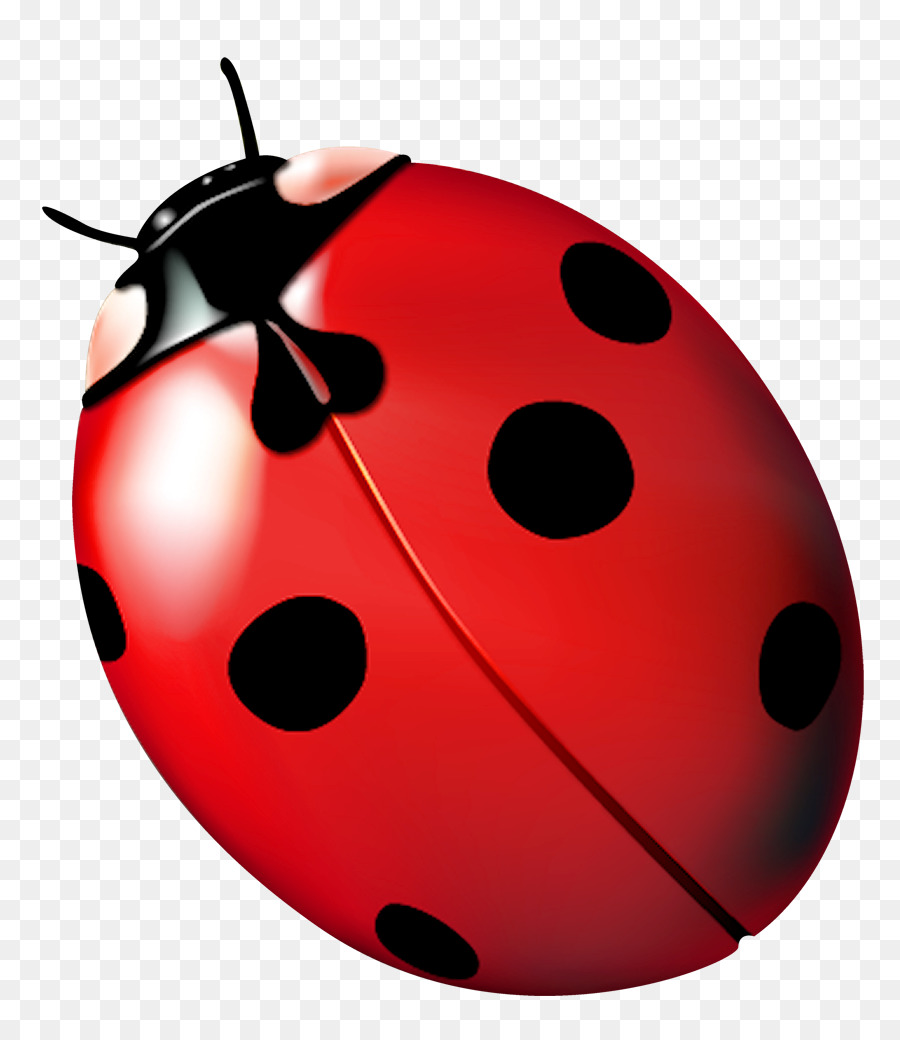 Ladybird beetle Ladybug, ladybug, fly away home - joaninha png download - 883*1034 - Free Transparent Ladybird Beetle png Download.