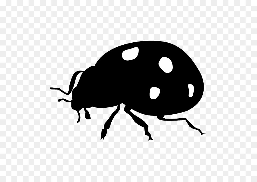 Ladybird beetle Insect Silhouette Clip art - insect png download - 640*640 - Free Transparent Ladybird Beetle png Download.