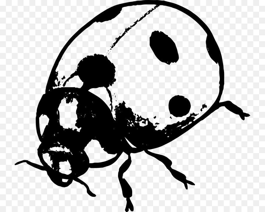Ladybird beetle Black and white Silhouette Clip art - beetle png download - 800*720 - Free Transparent Ladybird Beetle png Download.