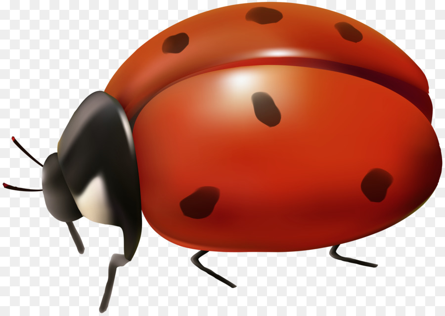Ladybird beetle Clip art - Lady bag png download - 8000*5673 - Free Transparent Ladybird Beetle png Download.