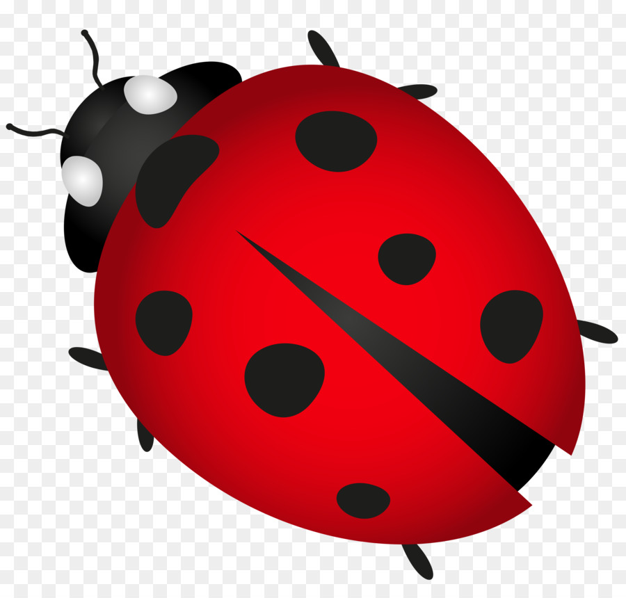 Beetle Ladybird Plagg Clip art - ladybug png download - 6000*5653 - Free Transparent Beetle png Download.