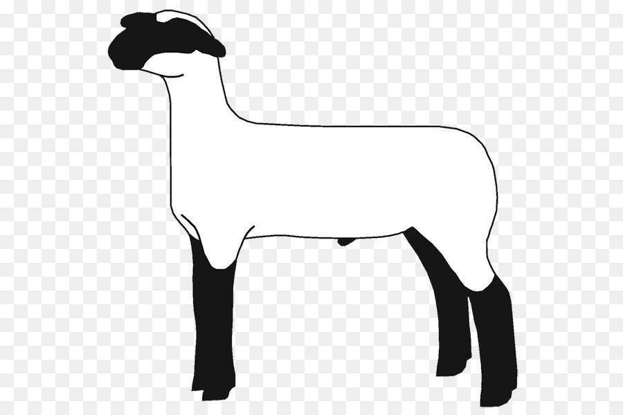 Sheep Goat Cattle Clip art Mammal - sheep png download - 620*600 - Free Transparent Sheep png Download.