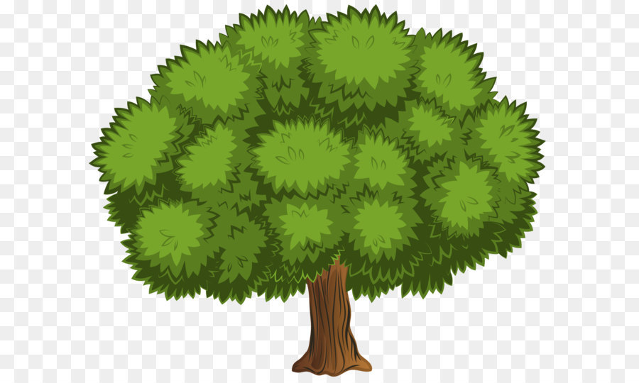 Shrub Clip art - Large Tree PNG Clip Art Image png download - 8000*6612 - Free Transparent Tree png Download.