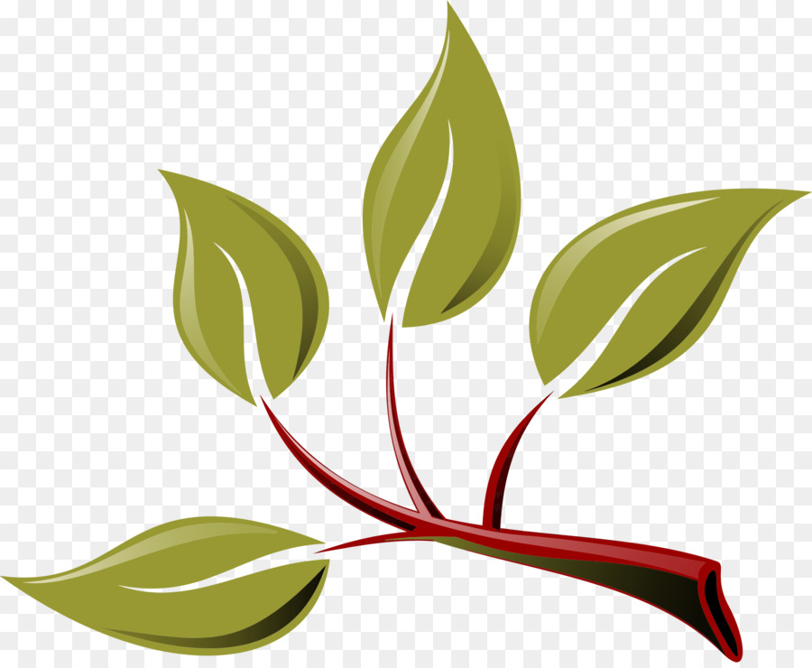 Branch Leaf Clip art - branch png download - 2324*1895 - Free Transparent Branch png Download.
