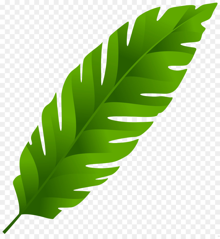 Banana leaf Palm-leaf manuscript Clip art - leafs png download - 7423*8000 - Free Transparent Leaf png Download.