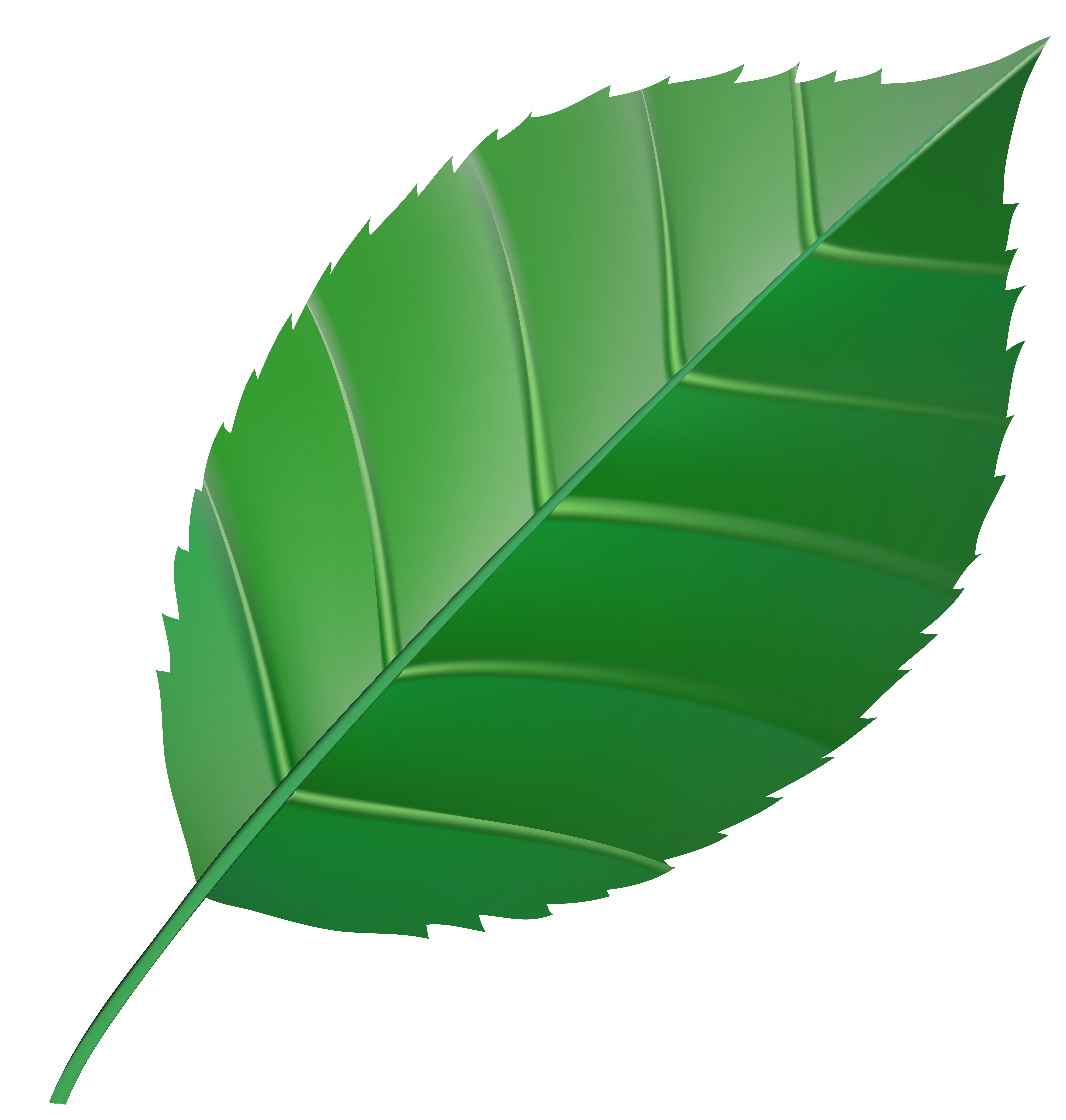 Autumn leaf color Clip art - green leaves png download - 7000*7352