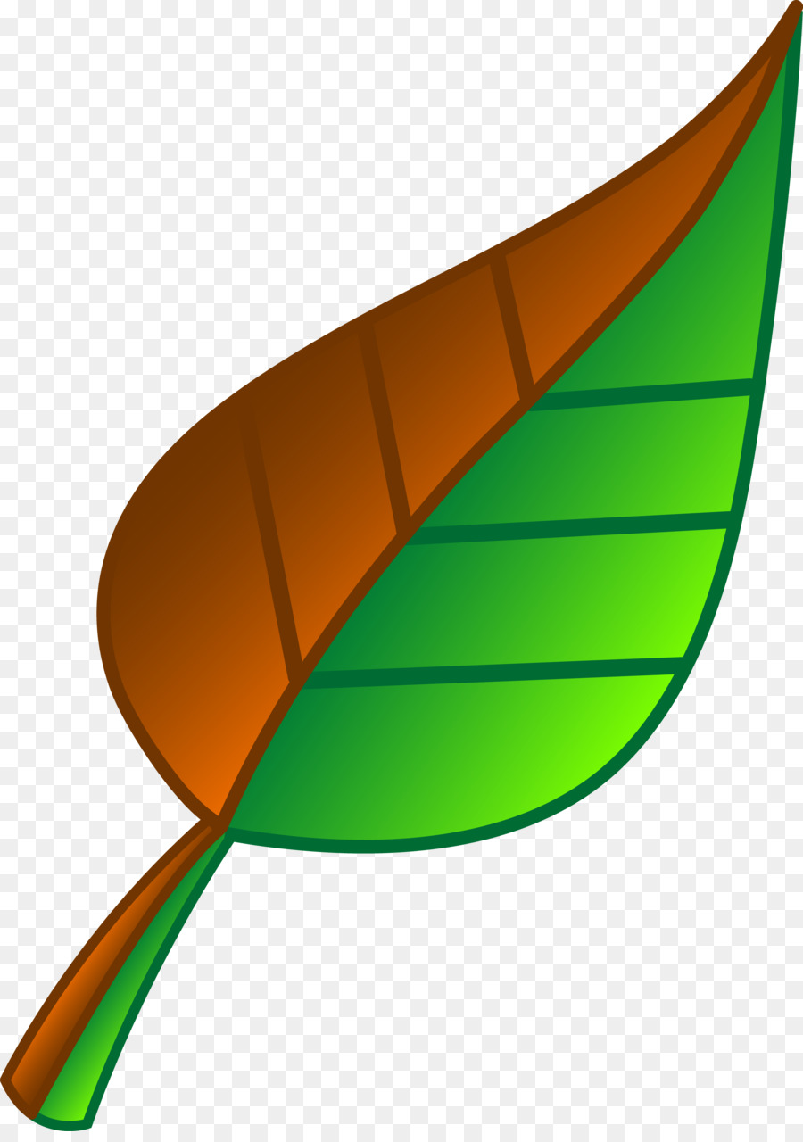 Leaf Green Clip art - Green Leaf Clipart png download - 3906*5502 - Free Transparent Leaf png Download.