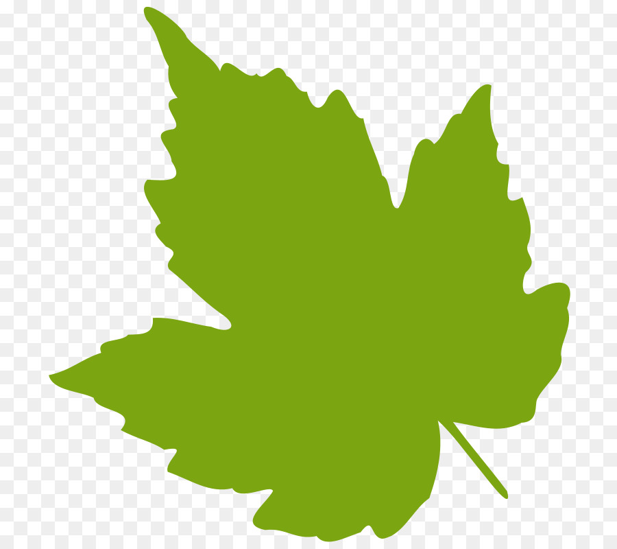 Grape leaves Leaf Grapevines Clip art - Green Leaf Clipart png download - 800*800 - Free Transparent Grape Leaves png Download.