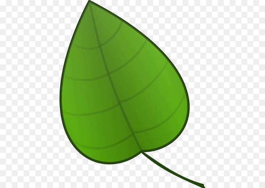 Leaf Clip art - Acorn Forest png download - 496*640 - Free Transparent Leaf png Download.