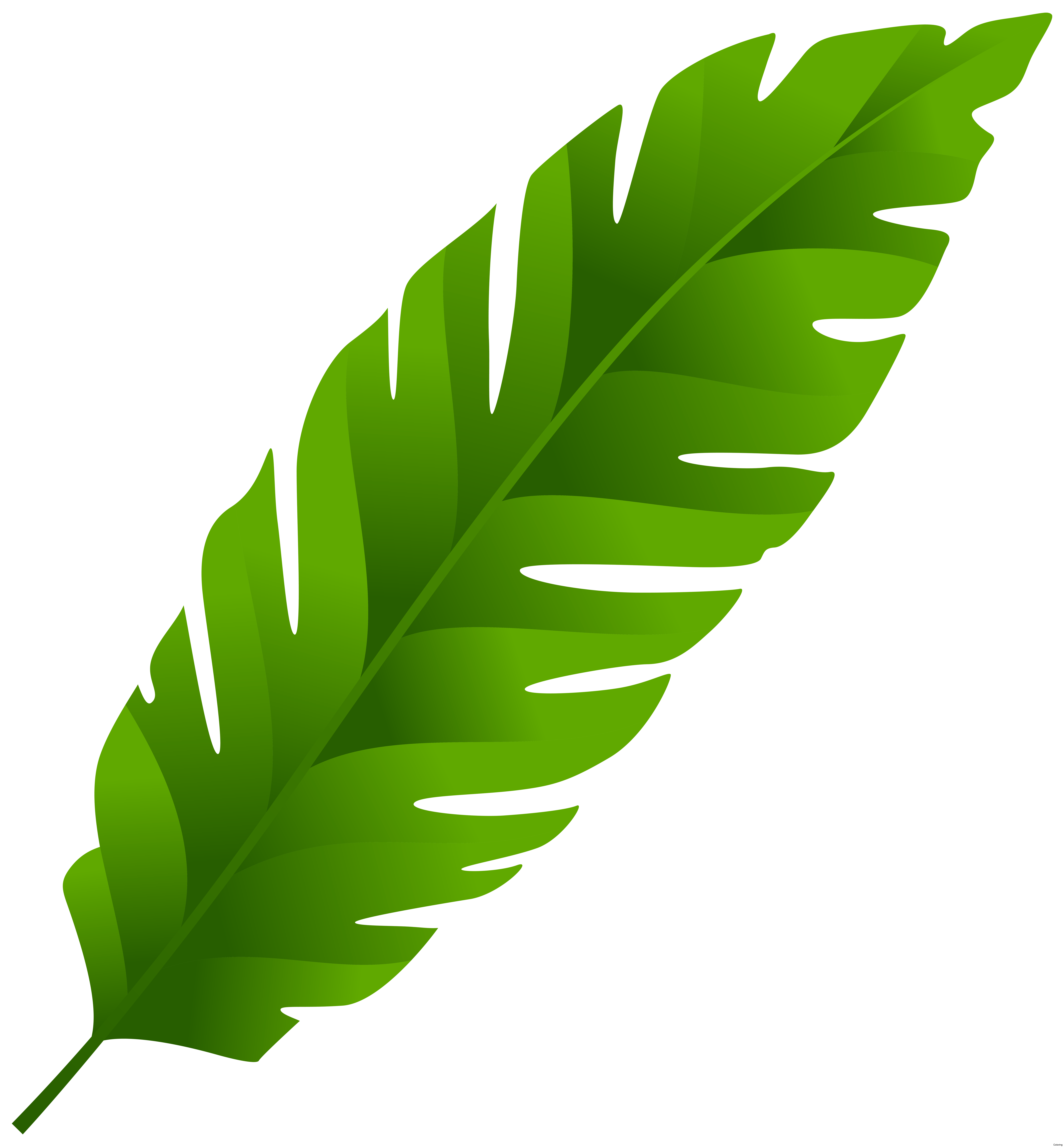 Printable Palm Leaf - paper palm leaf template - Matah - Cut out the