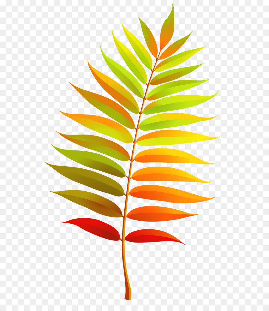 Leaf Clip art - Colorful Transparent Fall Leaf Clipart png download - 2240*3520 - Free Transparent Leaf png Download.