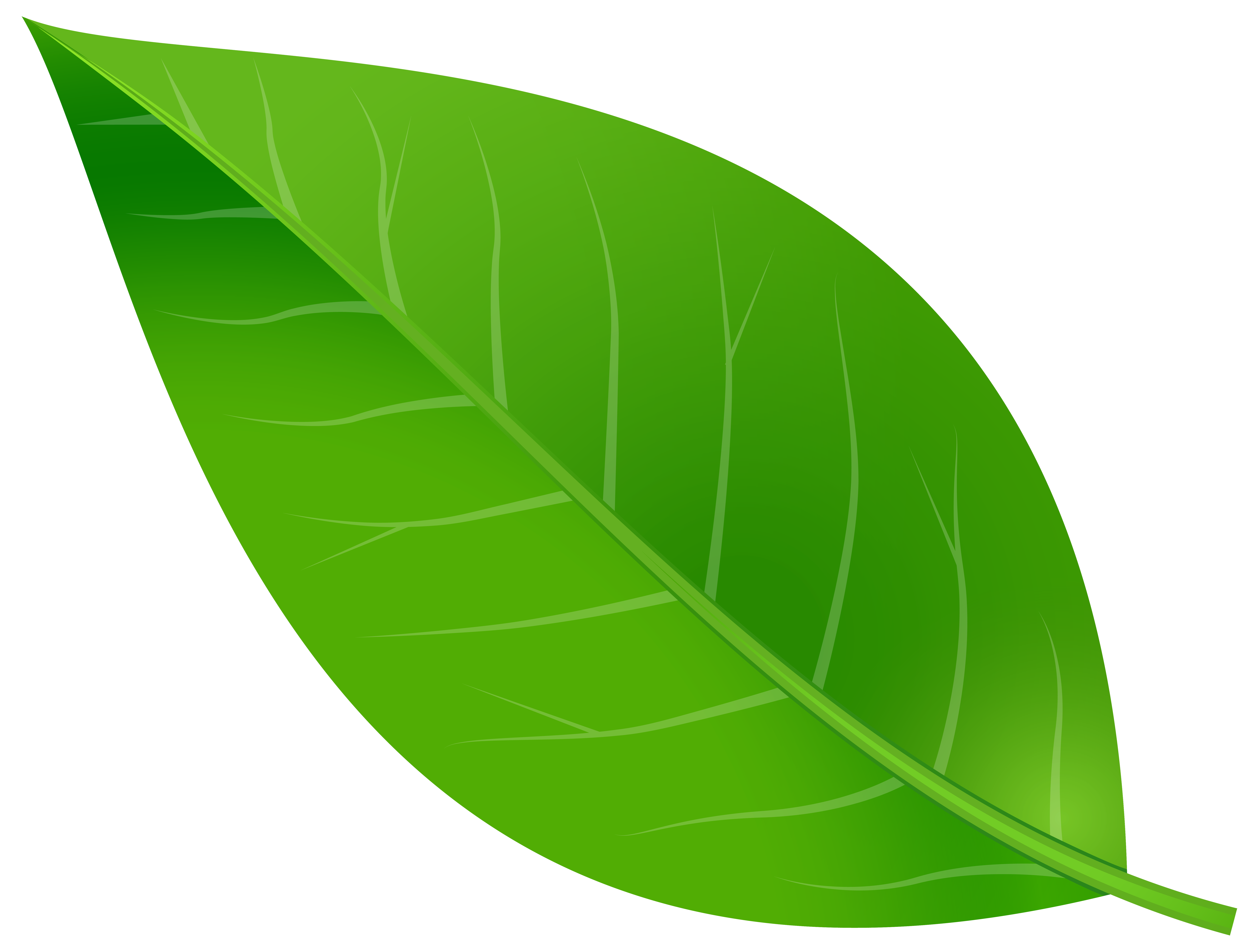 Leaf Clip art - Spring Leaf Transparent PNG Clip Art Image png download
