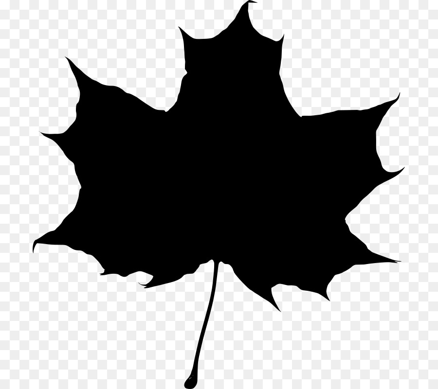 Maple leaf Silhouette - Silhouette png download - 765*800 - Free Transparent Maple Leaf png Download.