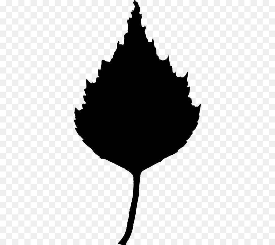Birch Leaf Tree Clip art - Leaf silhouette png download - 415*800 - Free Transparent Birch png Download.