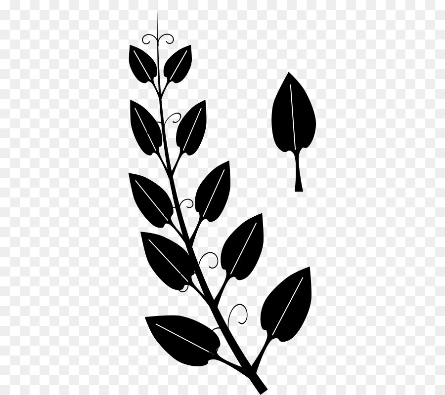 Vine Tendril Leaf Ivy Clip art - Silhouettes of leaves png download - 379*800 - Free Transparent Vine png Download.