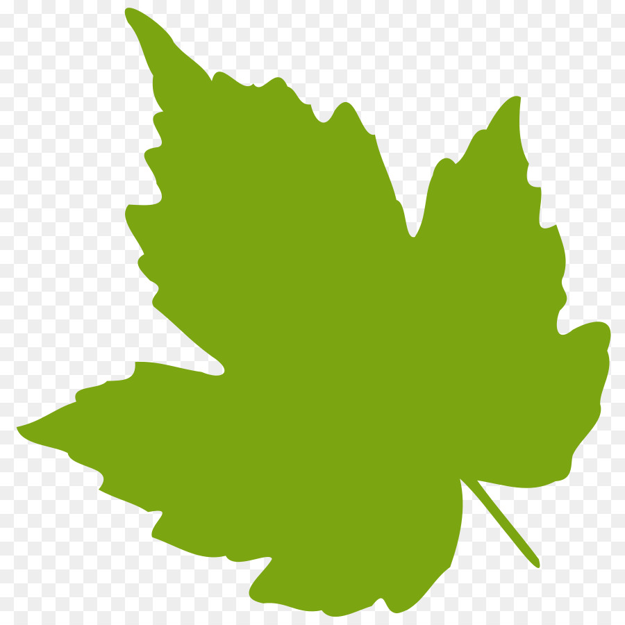 Grape leaves Clip art - Oak Leaf Vector png download - 900*900 - Free Transparent Grape Leaves png Download.