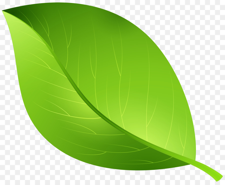 Leaf Clip art - green leaves png download - 8000*6540 - Free Transparent Leaf png Download.