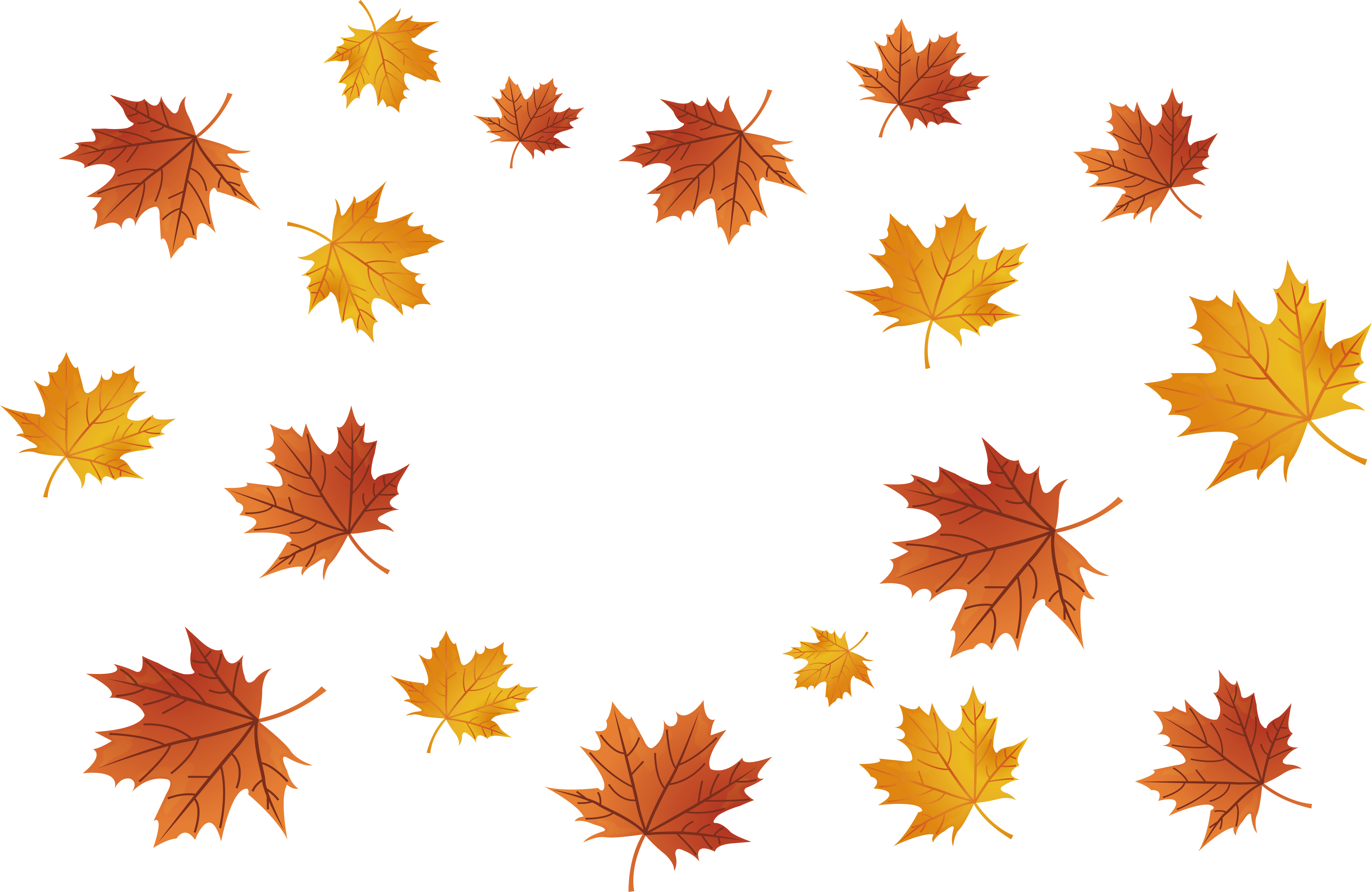 Maple leaf - Maple leaves falling png download - 4454*2897 - Free