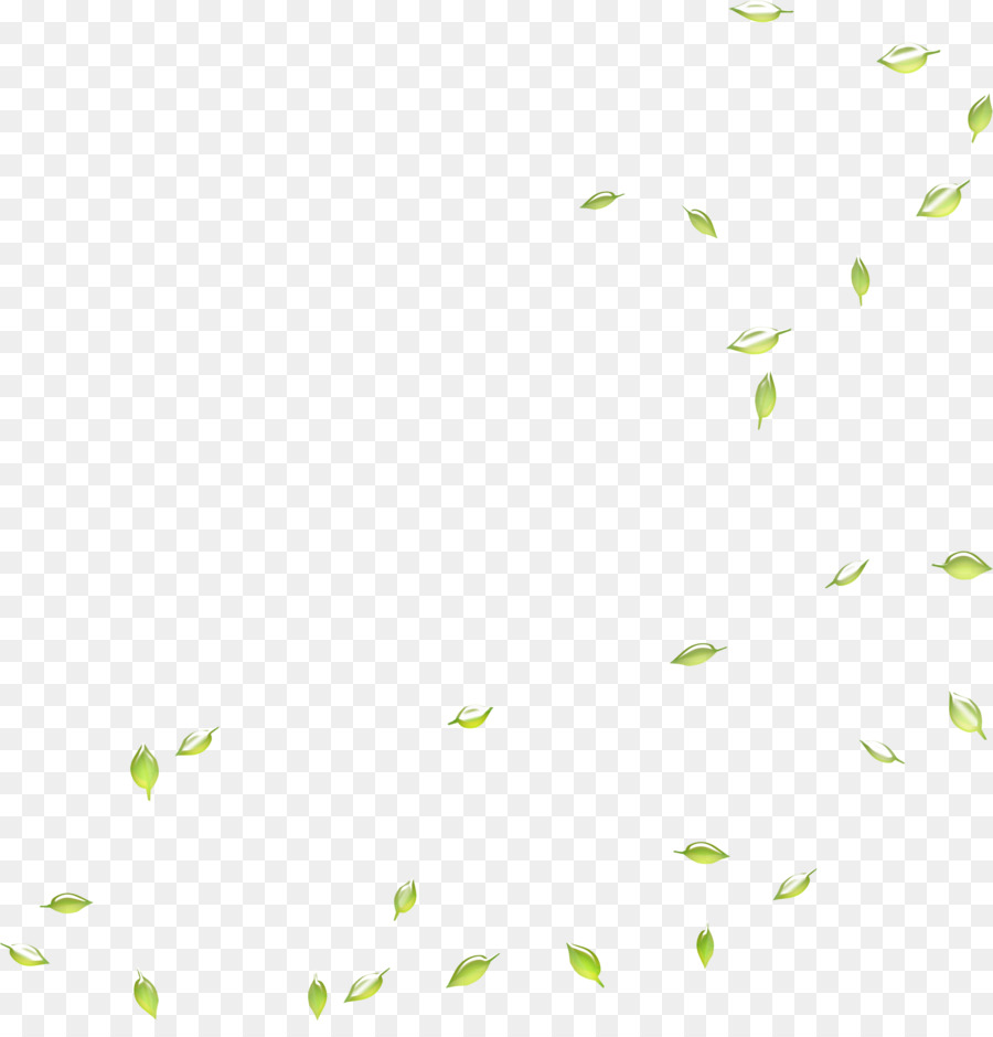 Google Images Search engine Leaf Deciduous - Falling green leaves png download - 2665*2740 - Free Transparent Google Images png Download.
