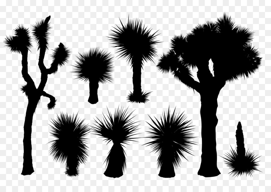 Silhouette Photography - tropical leaves png download - 1400*980 - Free Transparent Silhouette png Download.
