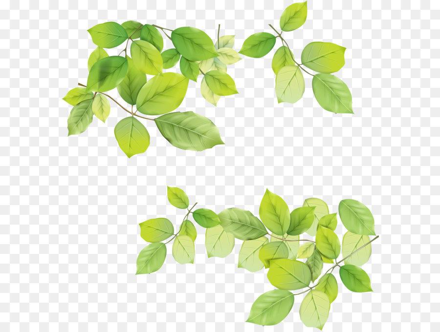 Leaf Clip art - Leaves Png Picture png download - 3376*3516 - Free Transparent Leaf png Download.